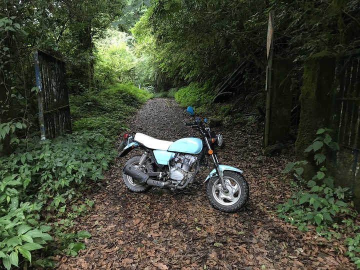 小雲豹之力行產業道環島