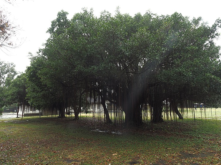 清水 牛罵頭遺址文化園區 — 全臺灣少有的史前遺址,神社、軍營、重要古物保存地等多重身分超時空交流場景,外帶居高臨下的臺灣海峽風光,一次全都看!