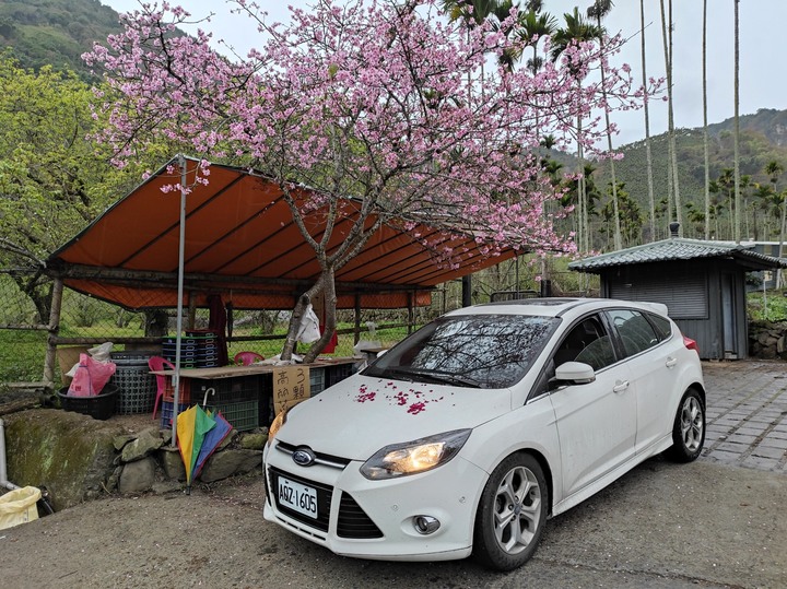 點我看大圖 My 15' Focus TDCi 9W 春節前補班日之偽單身新中橫之旅
