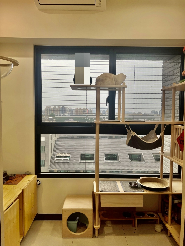 任性貓住宅