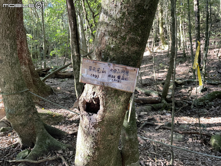 谷關七雄完登紀錄｜挑戰百岳前的最佳訓練場！