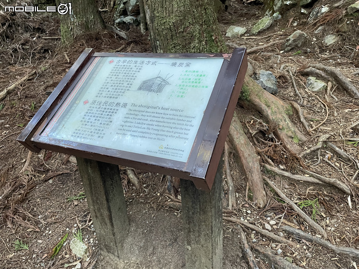 谷關七雄完登紀錄｜挑戰百岳前的最佳訓練場！