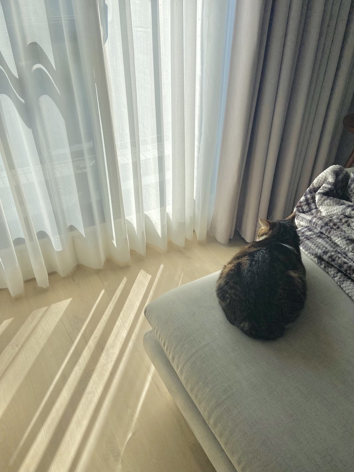 【開箱】新竹│北歐風‧春序 莫蘭迪綠x奶茶色清新小宅