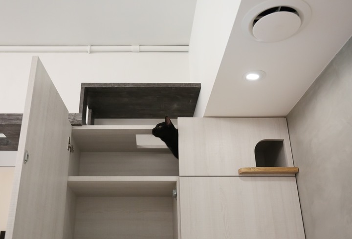 【開箱】我們的夢想HomeGym+超美貓屋❤️ 老屋改造質感簡約宅