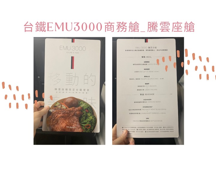 淚推花東必搭騰雲座艙！穿梭花東山海美景、擁有日系美學台鐵EMU3000列車讓乘車體驗及舒適度都up!