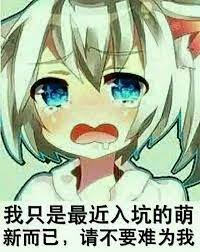 今天 買了 奇摩 yahoo雅虎 出的 阿虎NFT