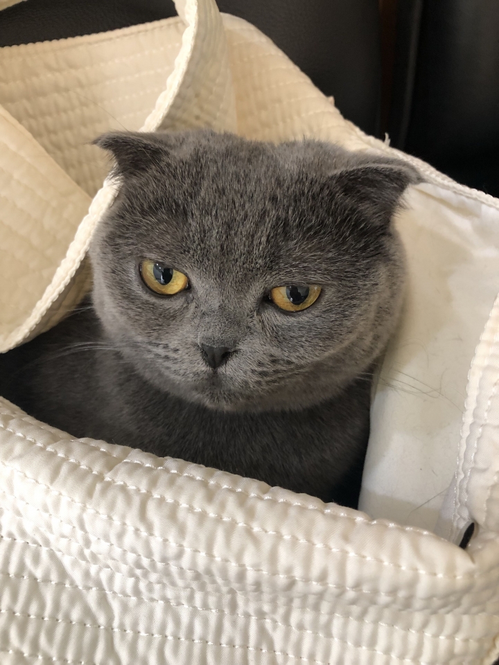 猩猩！謝謝你的酒