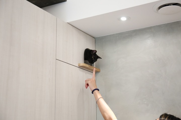 【開箱】我們的夢想HomeGym+超美貓屋❤️ 老屋改造質感簡約宅