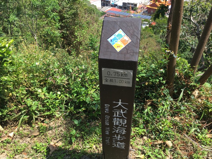 搭EMU900最美區間車-騎遊台東大武之旅