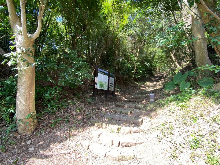 台北北投｜紗帽山，有清代、日治時期歷史遺跡，平易近人的陽明山步道