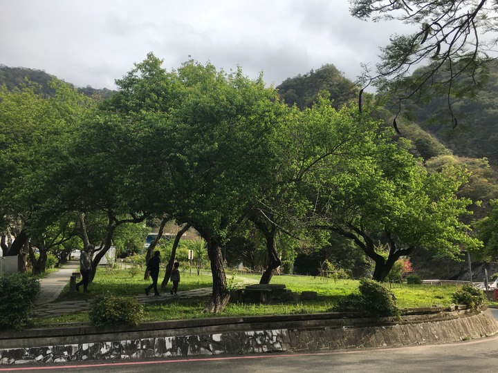 太魯閣健行步道之旅上集 (白楊、錐麓、山月)