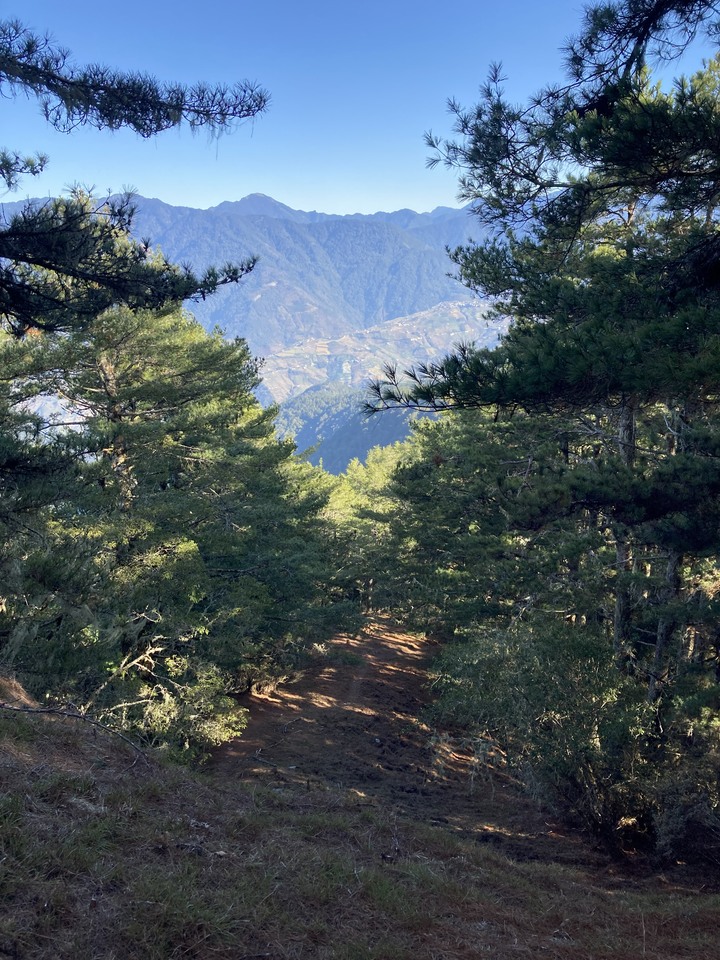 兩天一夜大劍山天梯在現場看真的會有驚嚇感