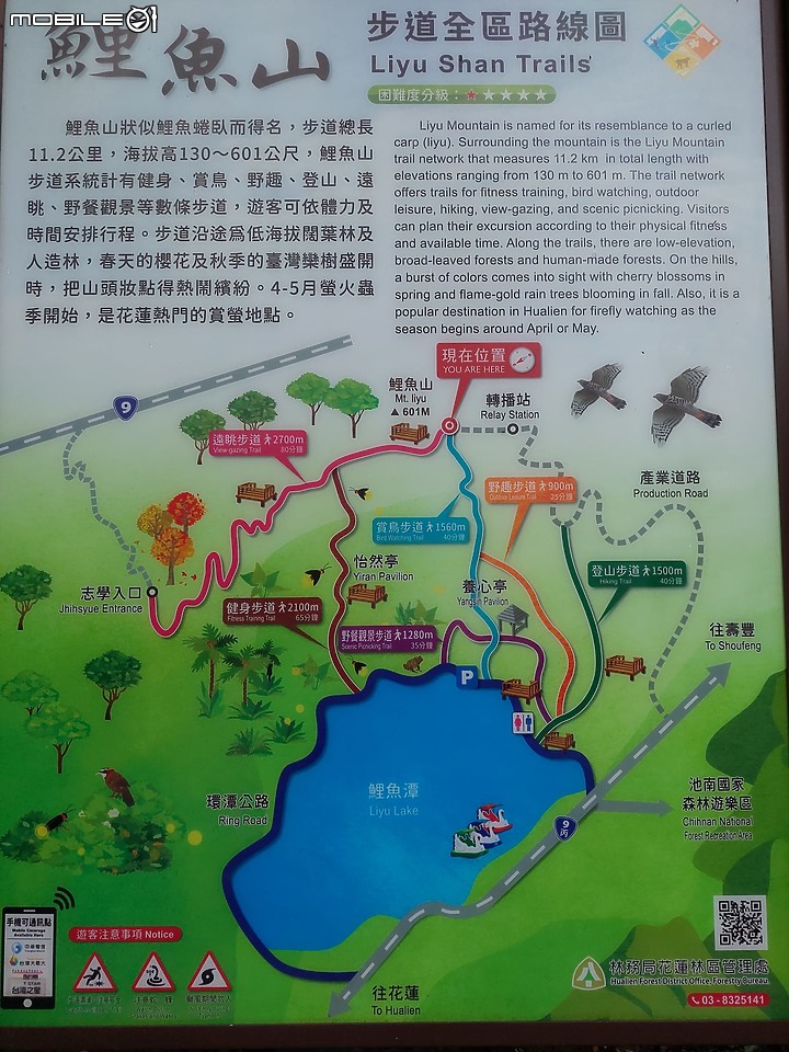 花蓮.鯉魚潭、鯉魚山步道健行記
