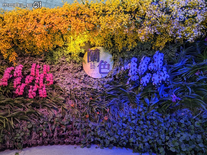 蘭花展 台南市後壁區蘭花生物科技園區 03/26