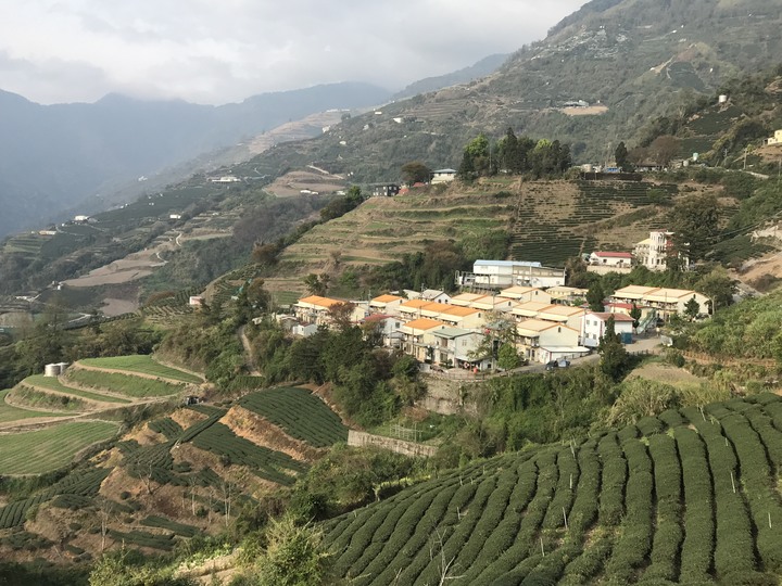 跨界 Cross－－深度而快速的中橫佳陽穿越力行翠巒