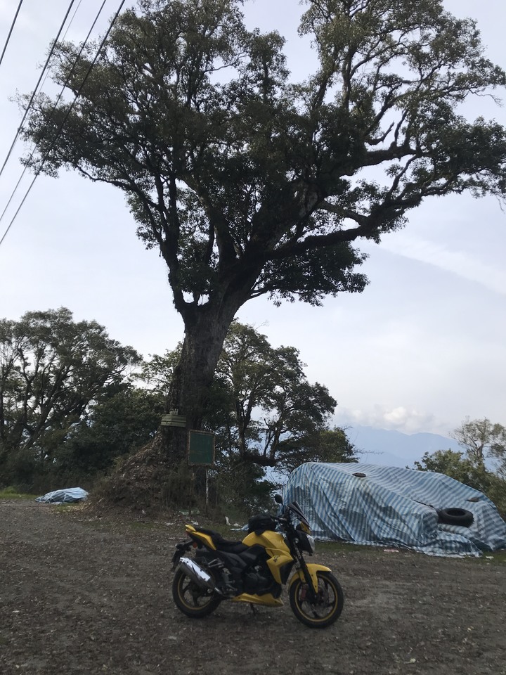 跨界 Cross－－深度而快速的中橫佳陽穿越力行翠巒