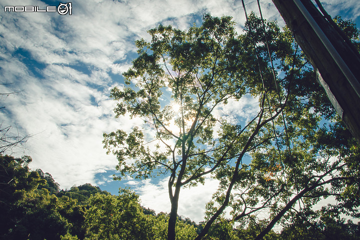 【台中景點】沐心泉賞櫻花 4K