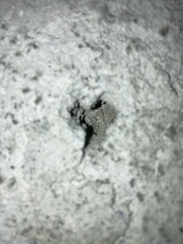 露台膨拱的DIY疑問？