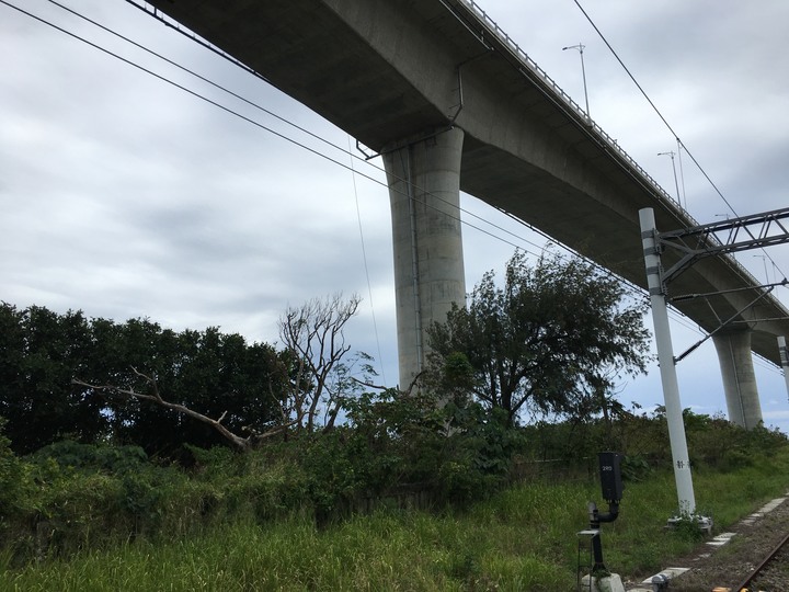 藍皮解憂號觀光列車(台東-枋寮)騎遊金崙
