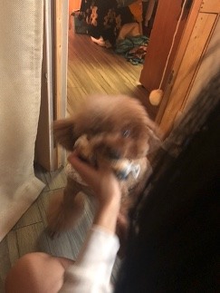 這位貴賓頭好壯壯來報到 ＆魚油小問題請益