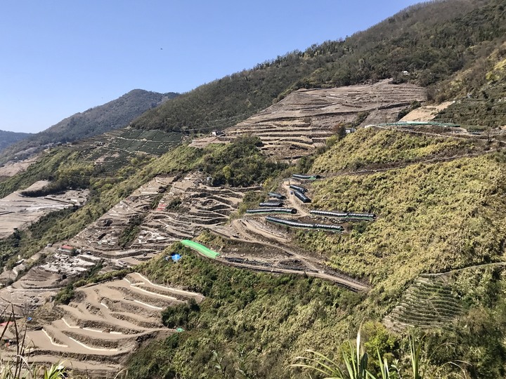 跨界 Cross 旅遊--翠巒、紅香、瑞岩、慈峰、翠峰、靜觀、合作、平靜、力行、華岡