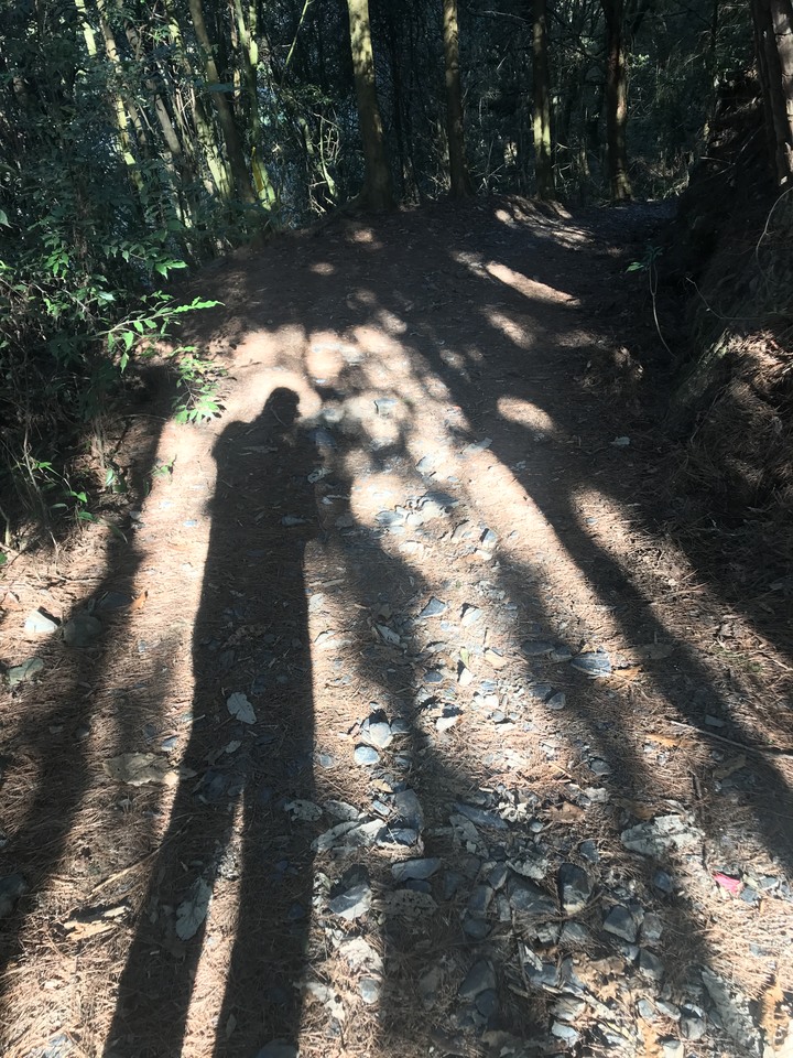 跨界 Cross 旅遊--翠巒、紅香、瑞岩、慈峰、翠峰、靜觀、合作、平靜、力行、華岡