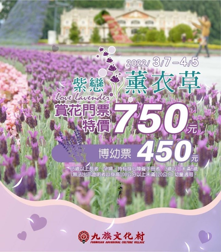 連假賞花首選!九族「紫戀薰衣草季」錯過要再等一年!