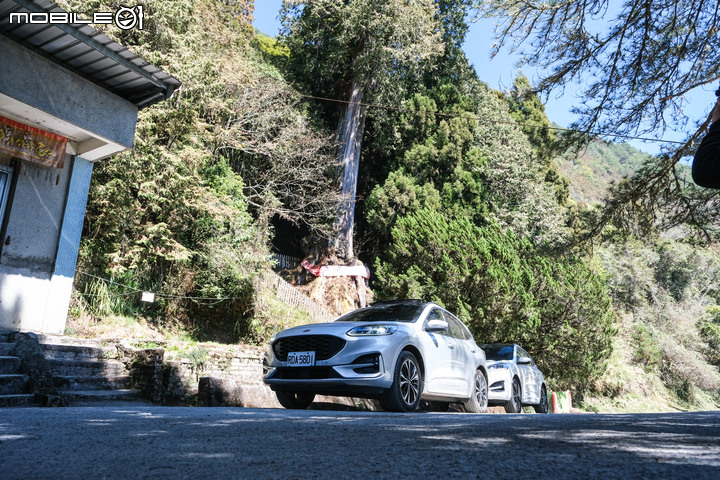 野營、登山、開車越野同時滿足!與Ford Kuga EcoBoost 250 ST-Line一同探索郡大林道