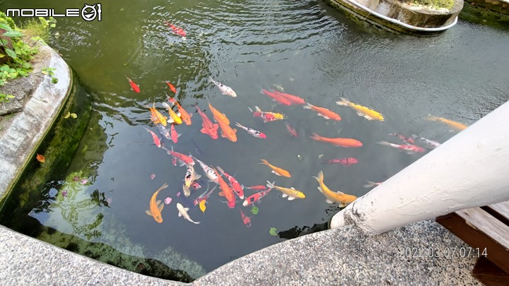 九妹約我去遠足