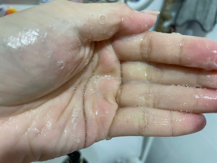 近期愛用的五款洗髮精評比