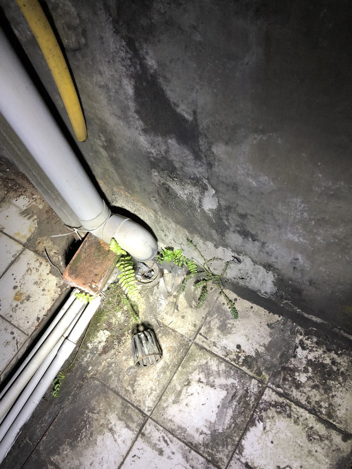 公寓屋頂雨水地排線路請教