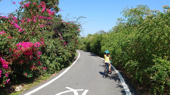 安安爸的沒拖車日記-竹鄉小鎮垂枝滿庭芳