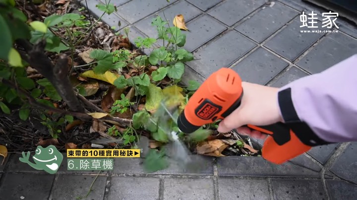 生活智慧王!10種束帶的實用秘訣,收納、保鮮、割草都好輕鬆