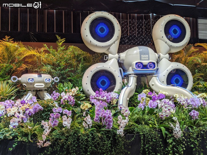 蘭花展 台南市後壁區蘭花生物科技園區 03/26