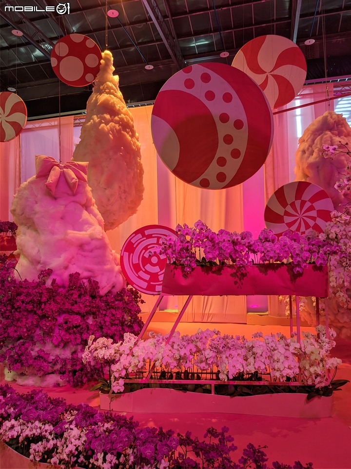 蘭花展 台南市後壁區蘭花生物科技園區 03/26