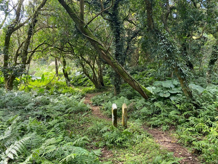 台北北投｜紗帽山，有清代、日治時期歷史遺跡，平易近人的陽明山步道