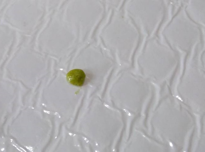 奶粉裡有綠色結塊，這是甚麼東西? 泡在水中也不太會溶