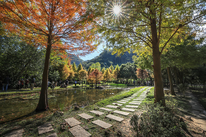 台灣之美～風景集錦美圖分享！