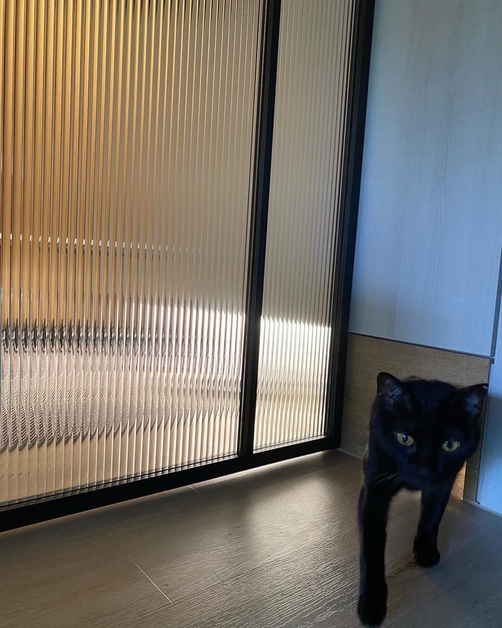 【開箱】我們的夢想HomeGym+超美貓屋❤️ 老屋改造質感簡約宅