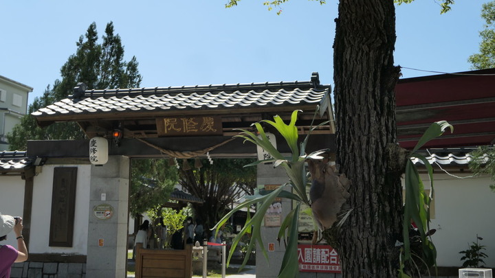 花東兩鐵單車無菜單旅行：吉野、豐田、林田神社遺址，關山、鹿野秘境，東富公路越嶺《台灣．用騎的最美》