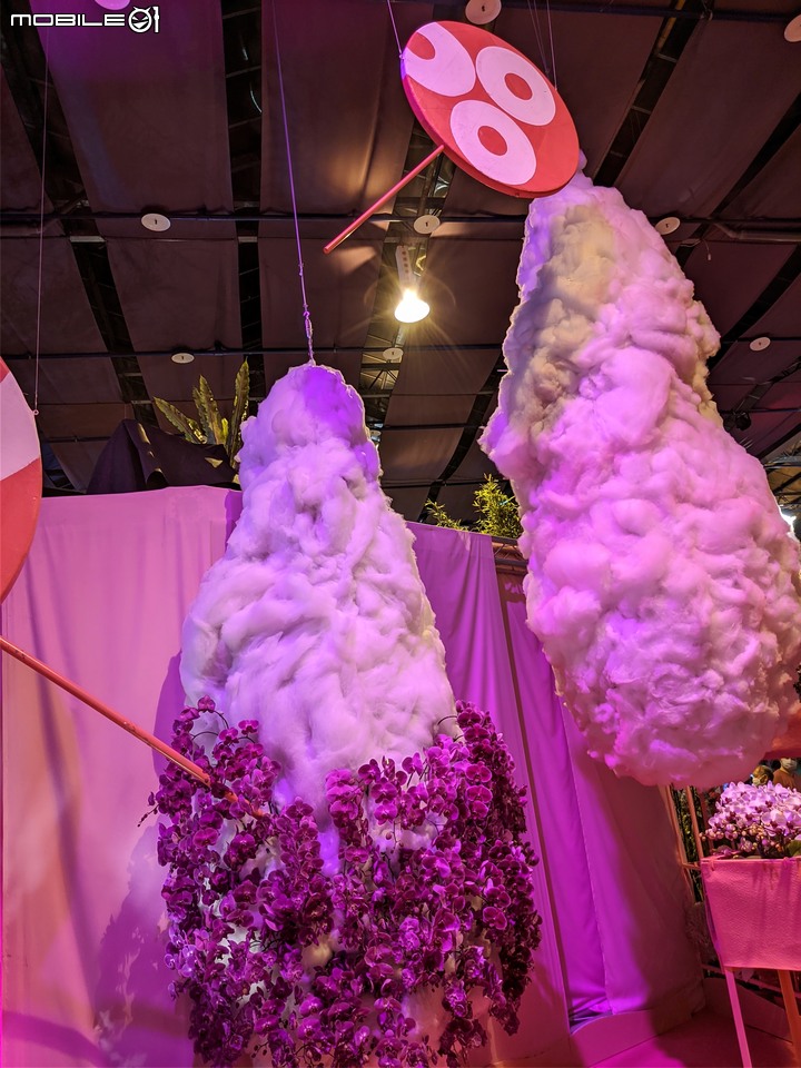 蘭花展 台南市後壁區蘭花生物科技園區 03/26