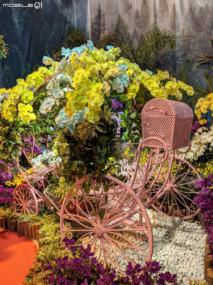 蘭花展 台南市後壁區蘭花生物科技園區 03/26