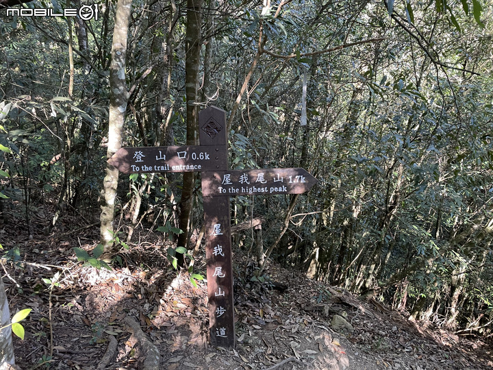 谷關七雄完登紀錄｜挑戰百岳前的最佳訓練場！