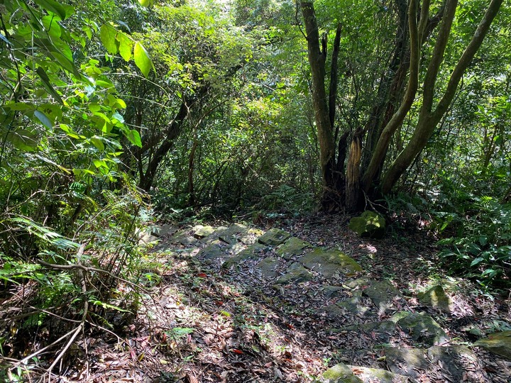 台北北投｜紗帽山，有清代、日治時期歷史遺跡，平易近人的陽明山步道