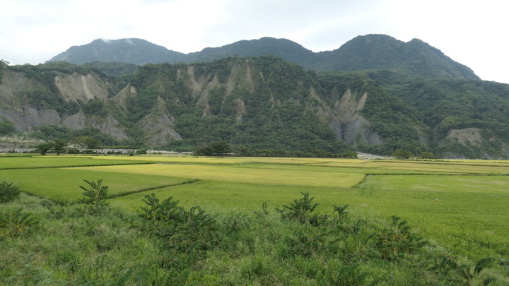 花東兩鐵單車無菜單旅行：吉野、豐田、林田神社遺址，關山、鹿野秘境，東富公路越嶺《台灣．用騎的最美》