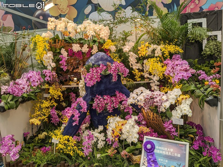 蘭花展 台南市後壁區蘭花生物科技園區 03/26