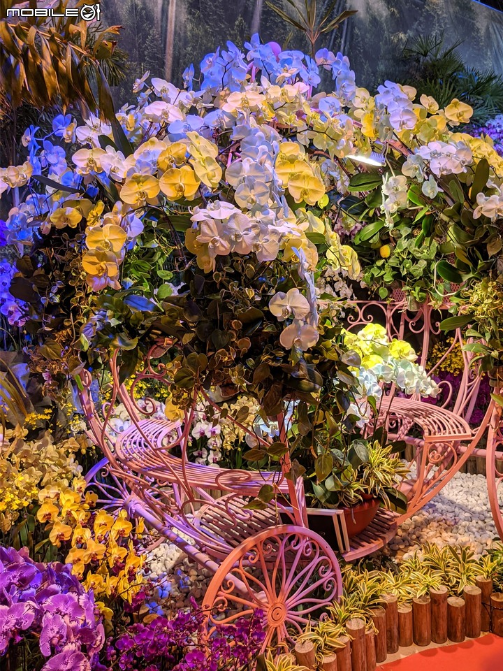 蘭花展 台南市後壁區蘭花生物科技園區 03/26