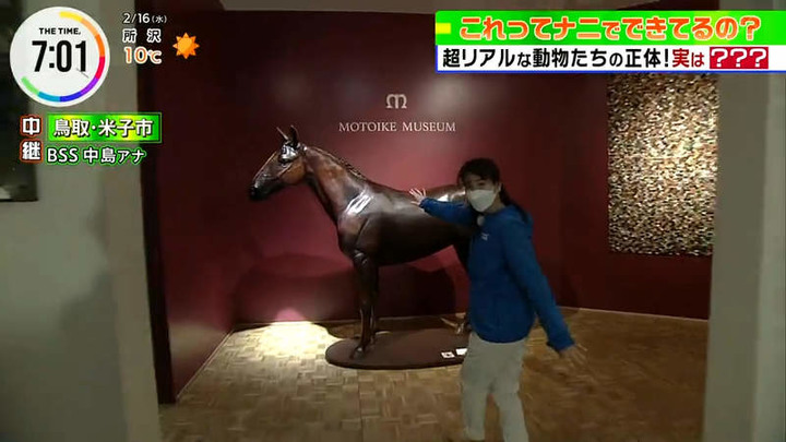 《世界唯一的皮革藝術家》動物模型栩栩如生 皮革美術館成了鳥取最新觀光景點