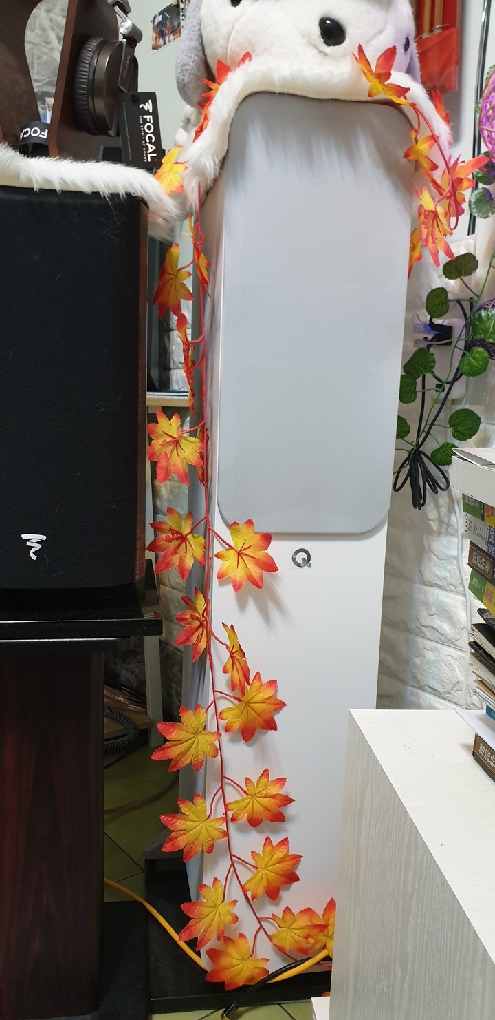 點我看大圖 Q Acoustics Concept 30開箱及不專業心得分享