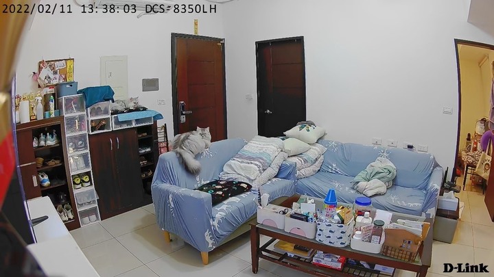 捕捉毛小孩超萌瞬間~ D-Link DCS-8350LH 2K QHD網路攝影機開箱